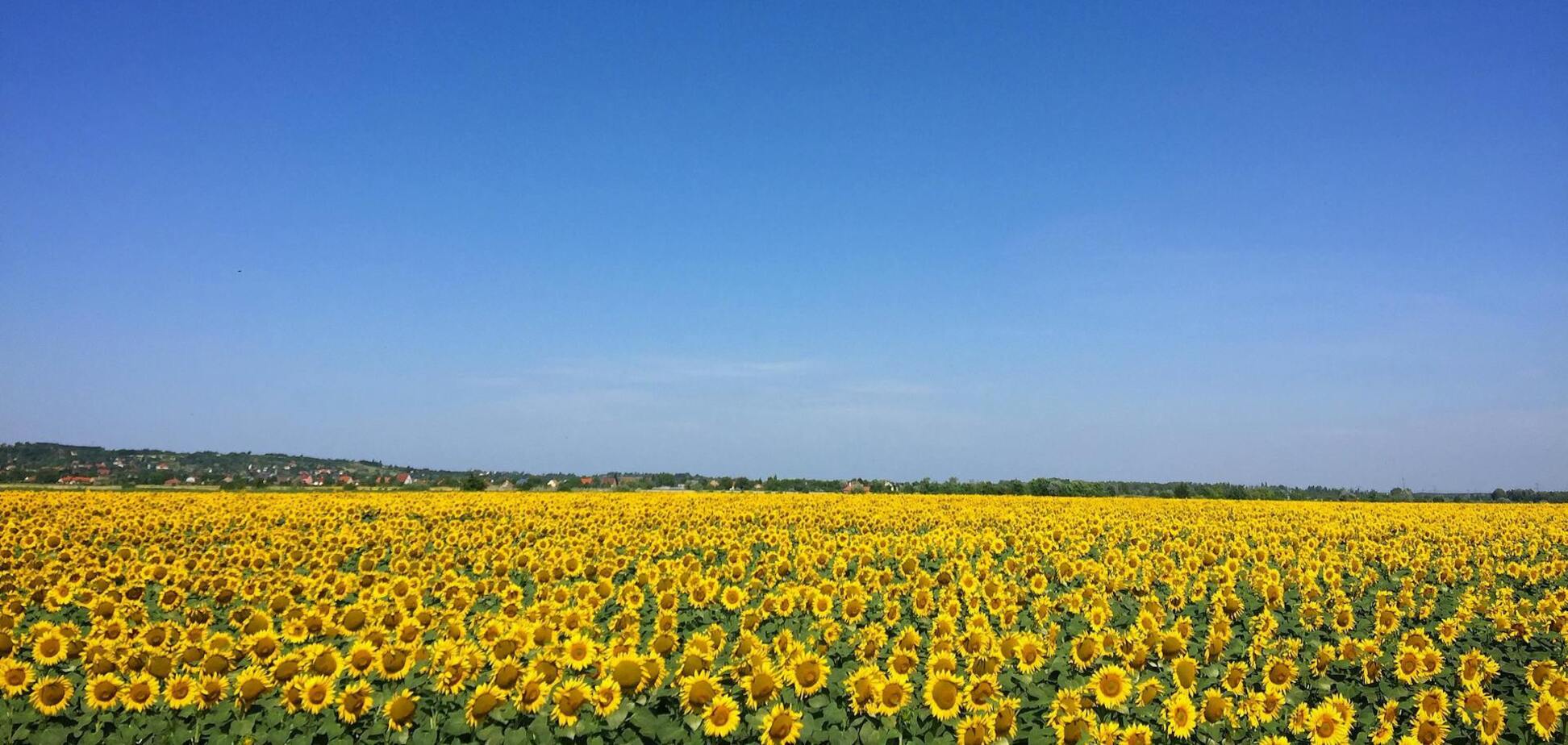 Осадки только в одном регионе: синоптики сообщили об изменении погоды на воскресенье