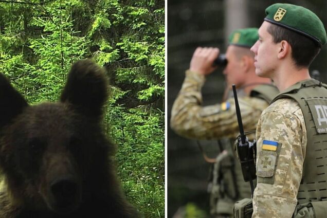 У Карпатах відеокамера прикордонників зафіксувала клишоногого 'порушника'. Фото