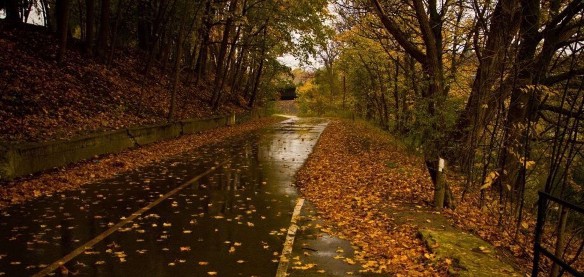 Первые заморозки возможны в августе: синоптики рассказали, когда ждать смены погоды и какой будет осень в Украине