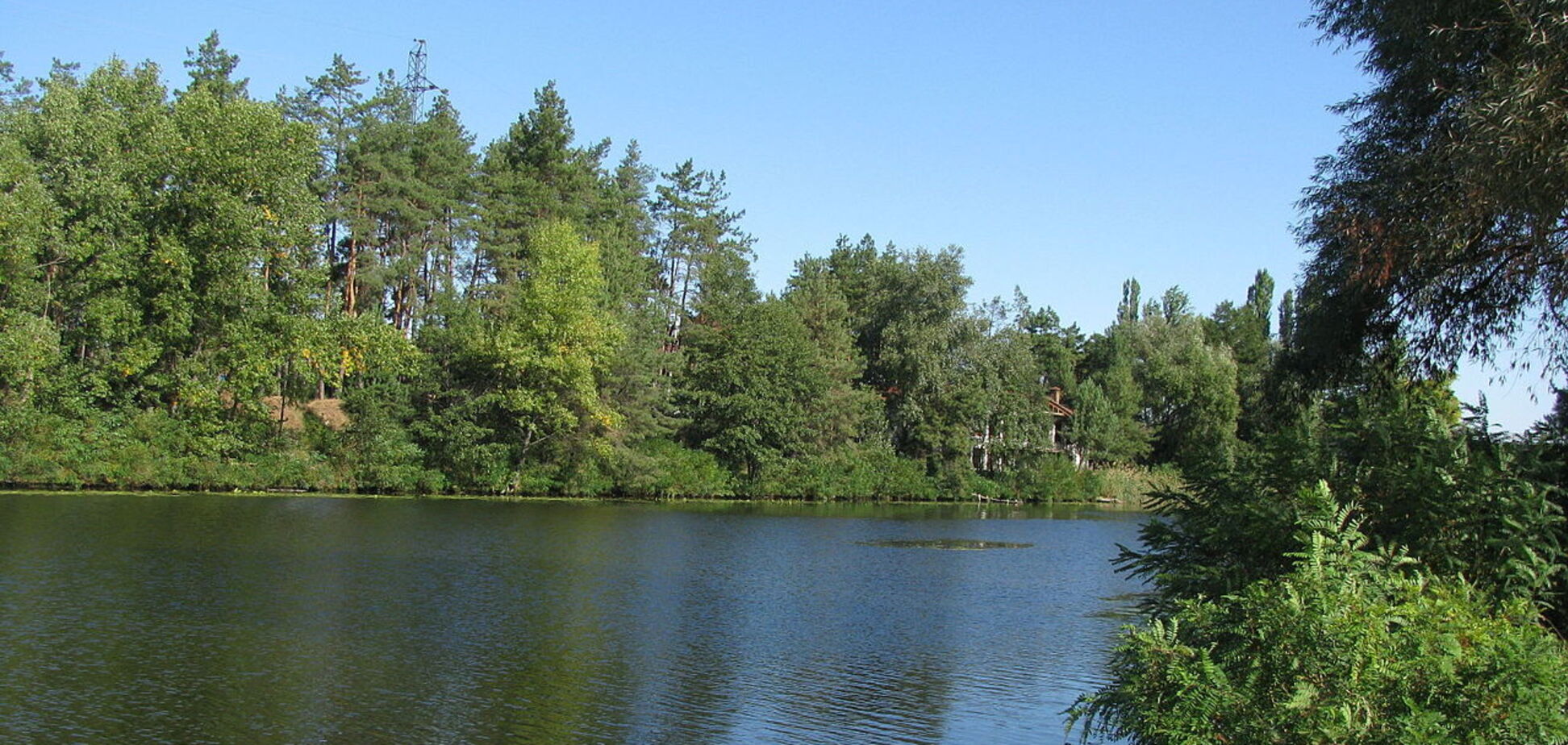 Леса на берегах Стугны