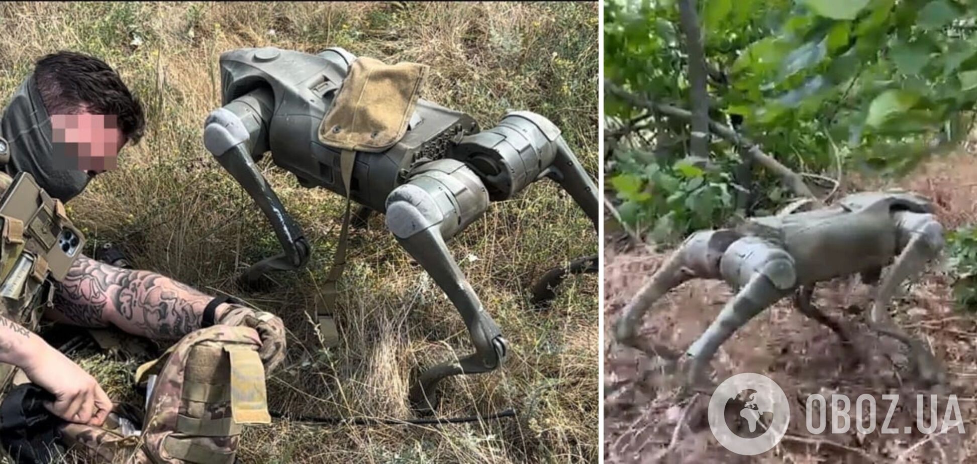 ЗСУ використовують на фронті 30 собак-роботів британського виробництва: що відомо