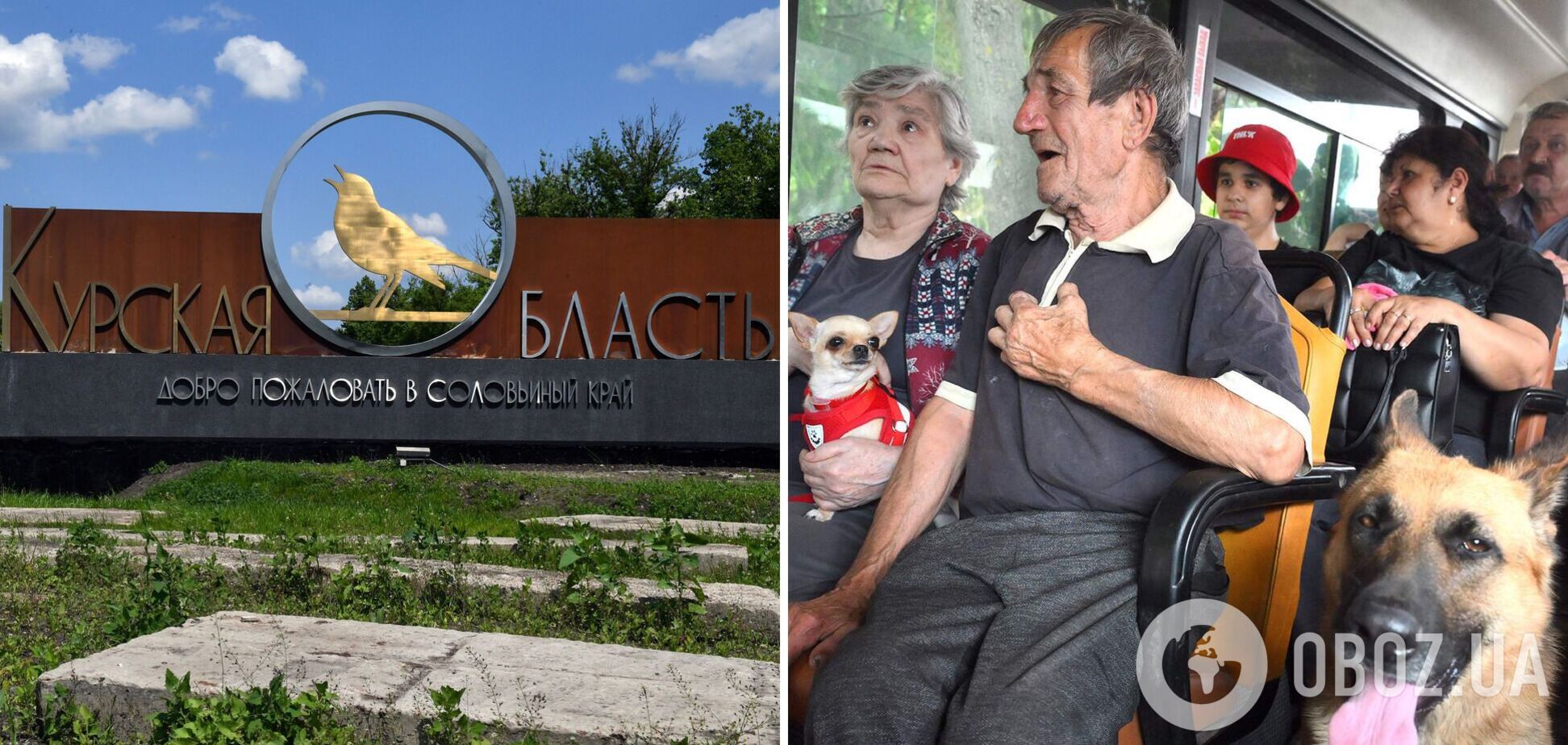 Україна відкрила гарячу лінію для біженців із Курської області: офіційна заява