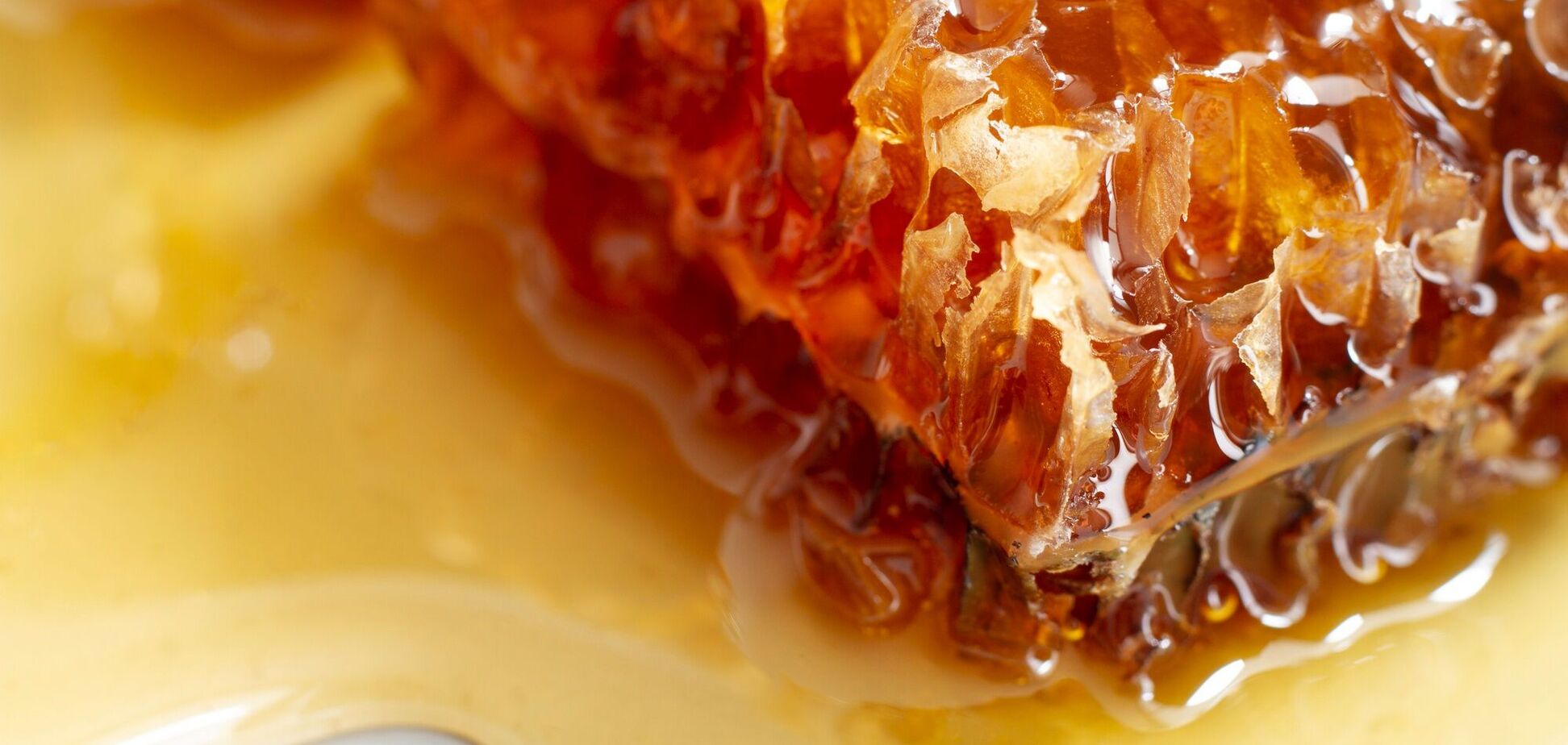 Украина заняла второе место среди экспортеров меда в ЕС