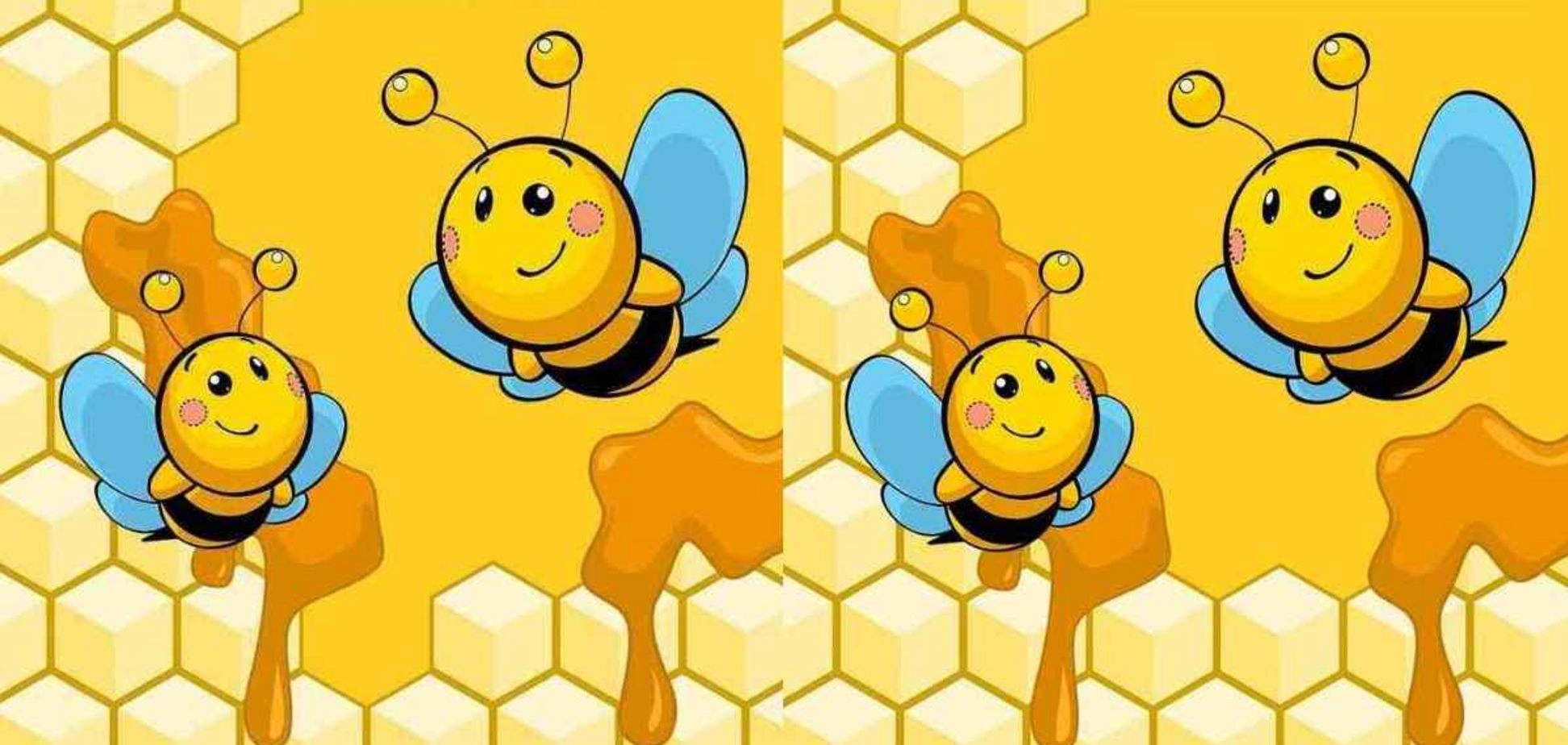 Найдите все отличия: веселая головоломка с пчелами