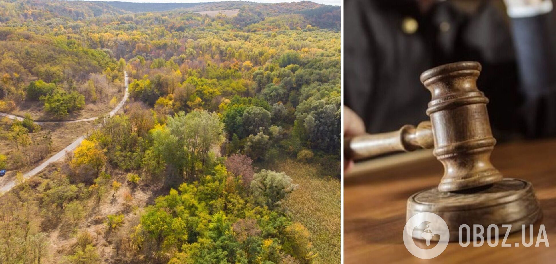 Суд вынес решение о земле ландшафтного парка 'Трахтемиров'