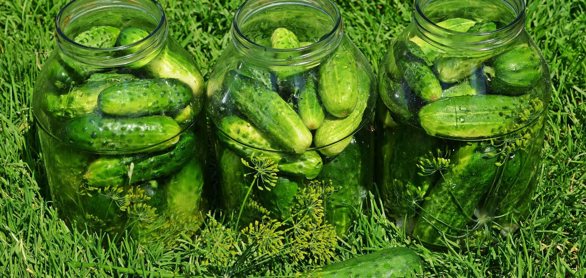 7 ферментованих продуктів, які покращують здоров’я