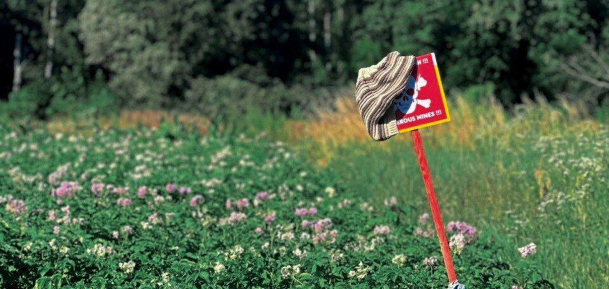 'Небезпечно, міни': на Чернігівщині фермери оригінально використали таблички саперів