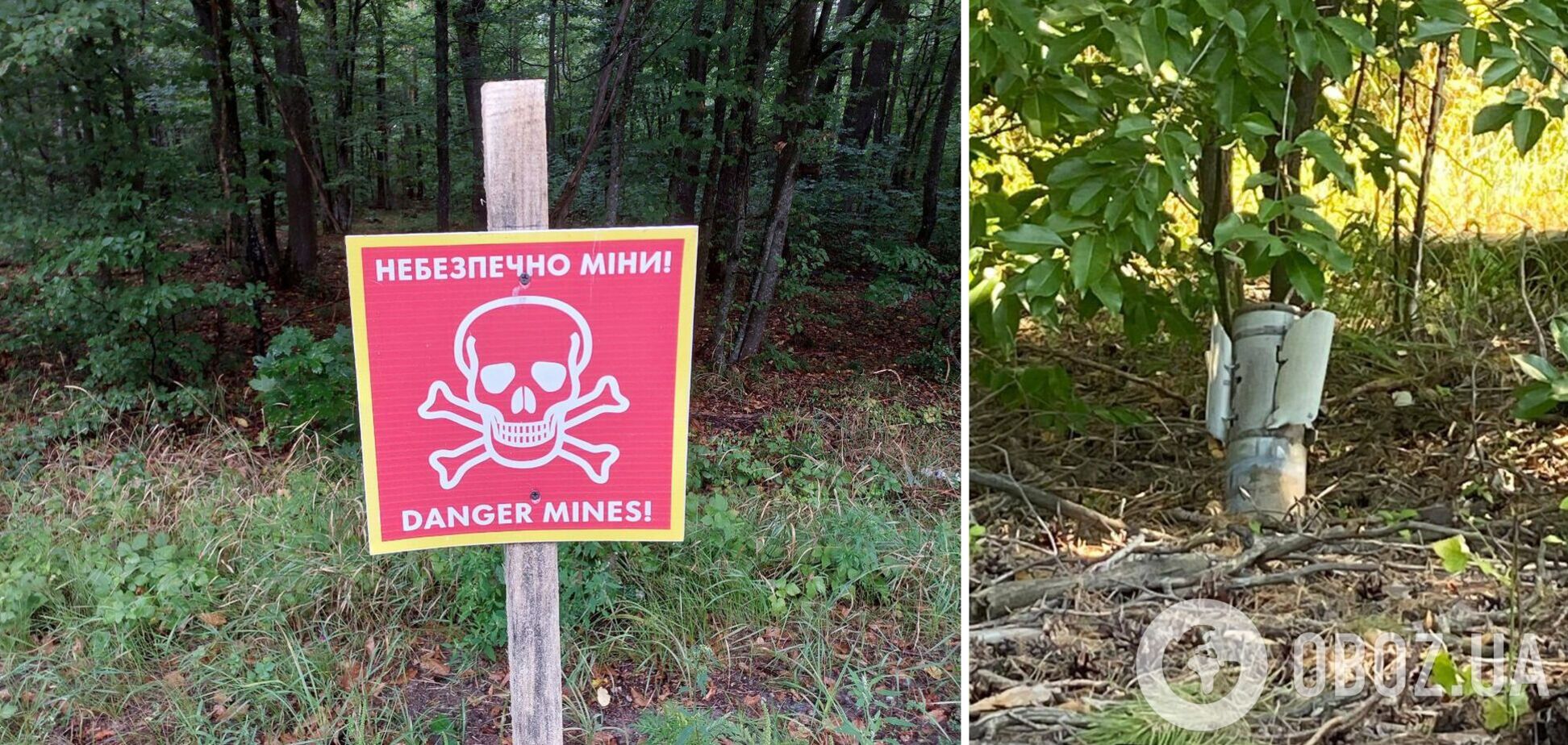 Розмінування території регіону ще не завершено