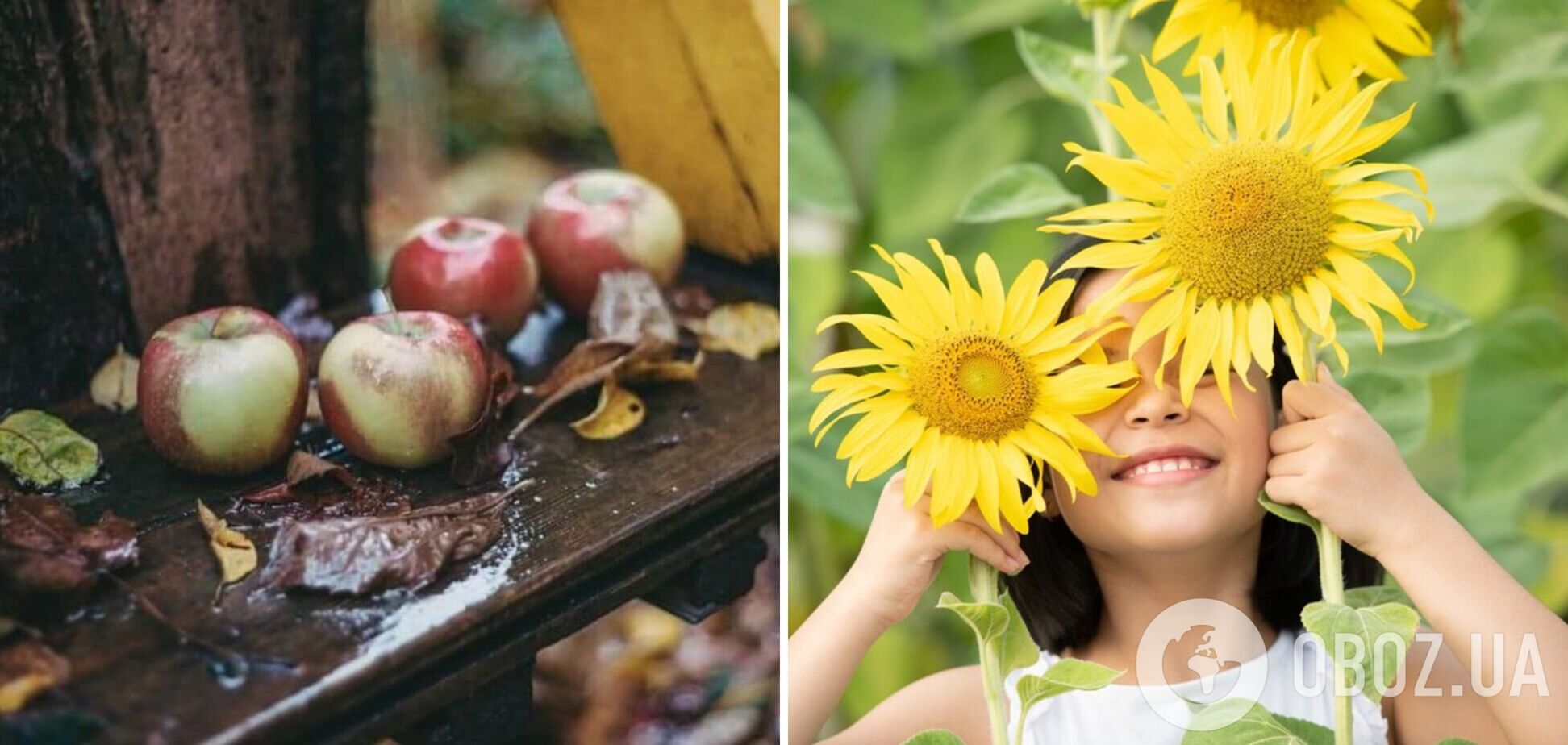 В некоторых областях возможны дожди и грозы: синоптик уточнила прогноз на вторник в Украине. Карта
