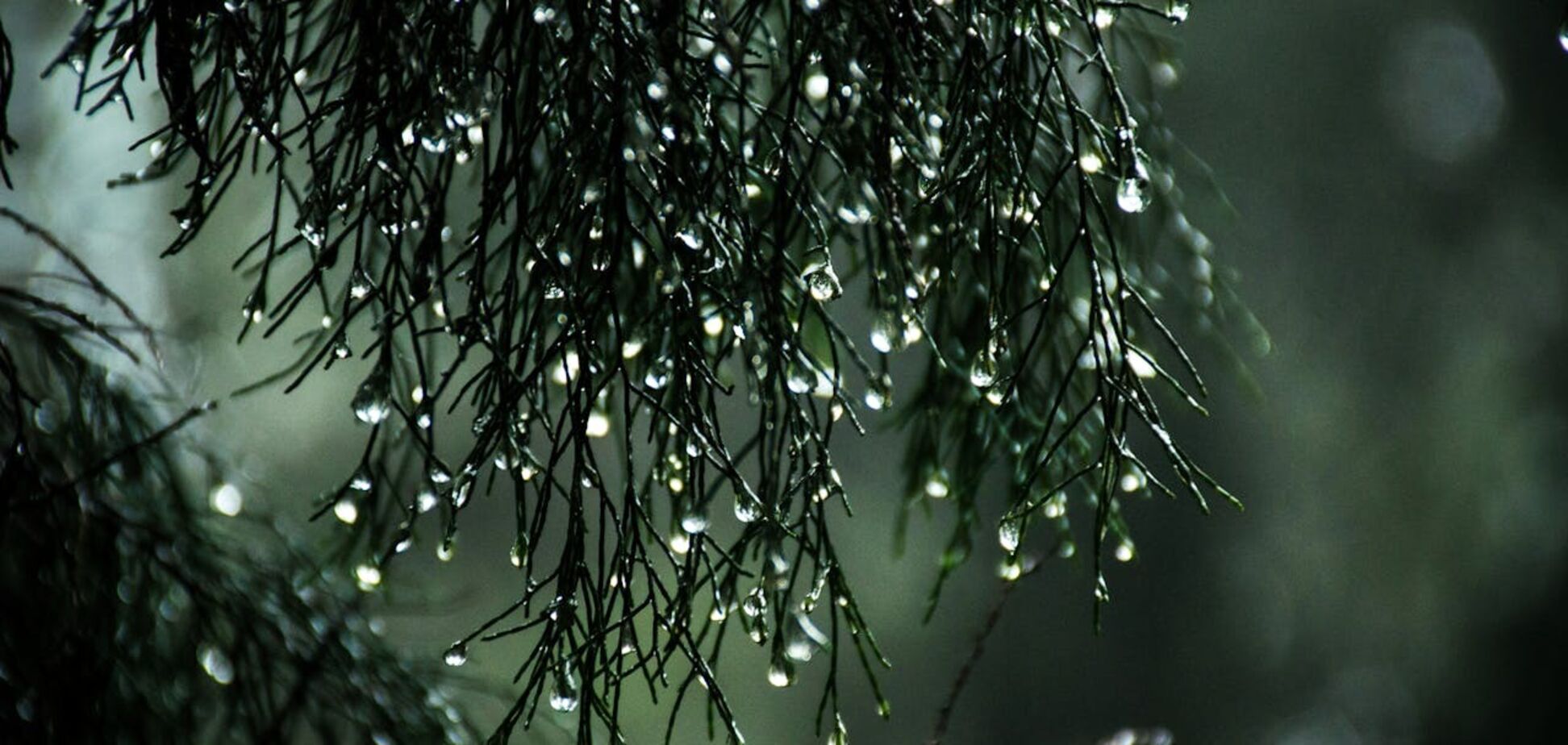 Жара отступит, но не везде: синоптики сказали, где в понедельник температура упадет до комфортных +22°C