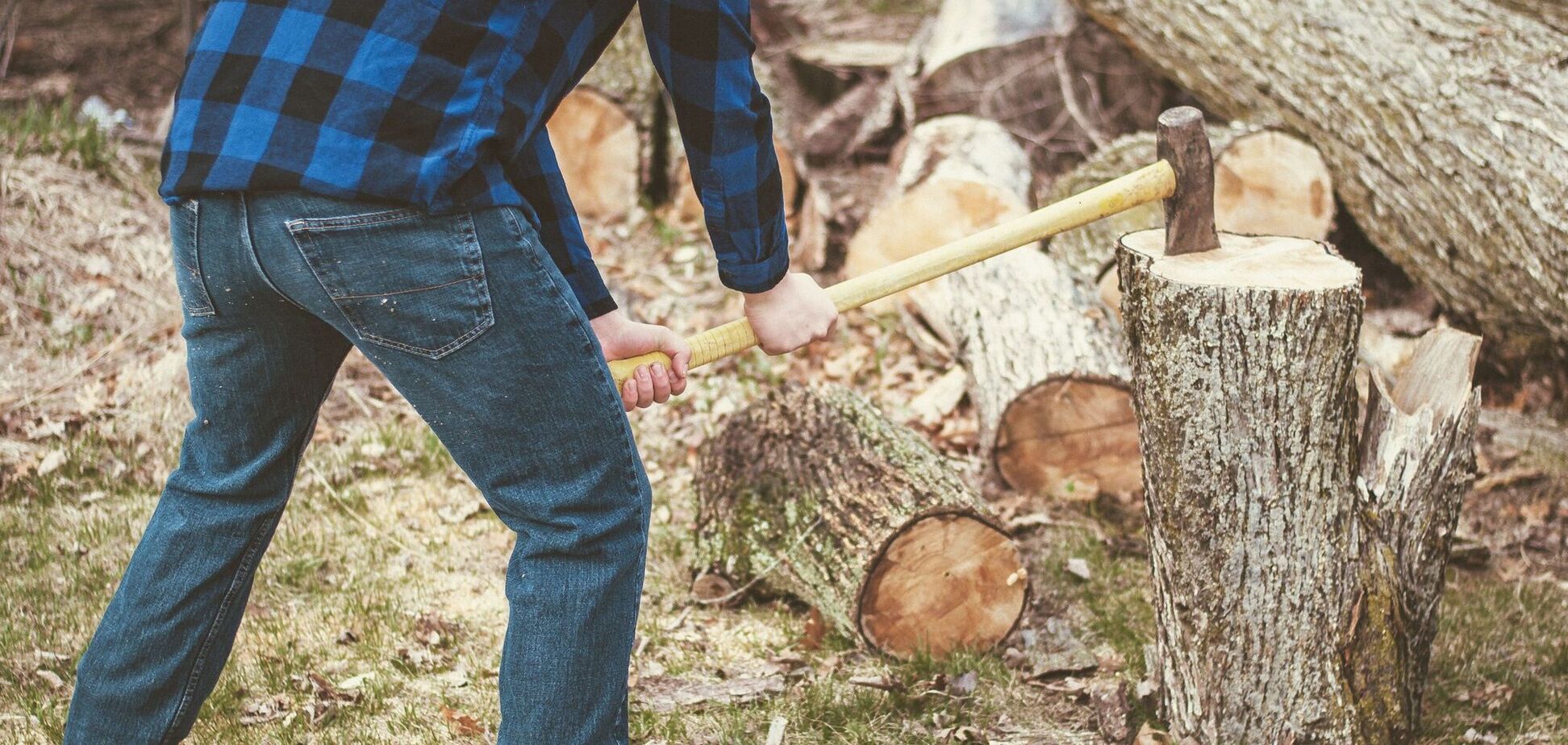 За колку дров держава платить 12 тисяч гривень на місяць