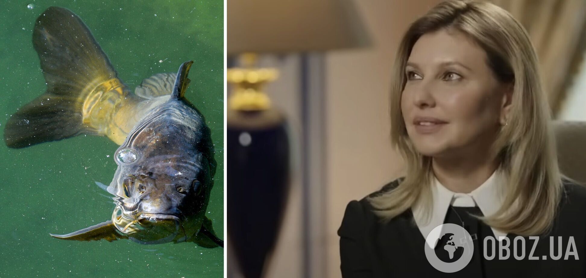 Це буде знак, що Україна перемогла. Олена Зеленська пообіцяла почистити рибу з Дніпра