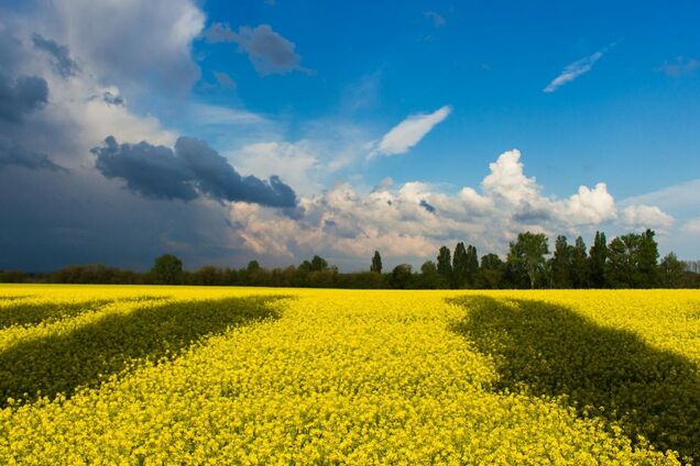 Погода в Україні