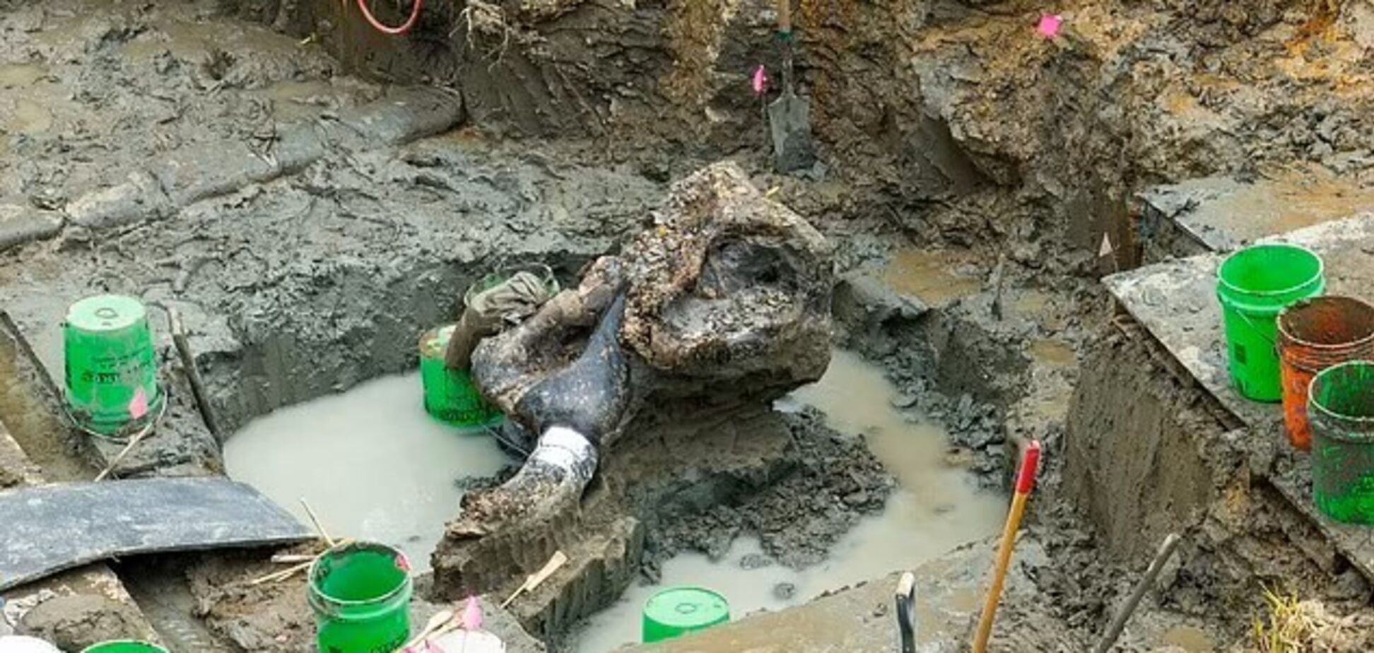 Останки гігантської істоти, яка бродила по Землі разом з першими людьми, знайшли у США. Фото