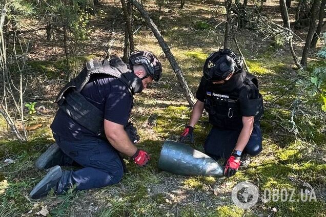 На місці працювали сапери ДСНС