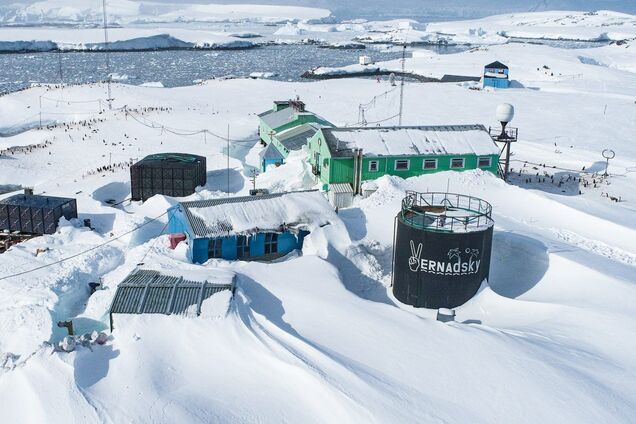 "Гордимся быть украинцами": полярники со станции "Академик Вернадский" записали трогательное обращение ко Дню Независимости