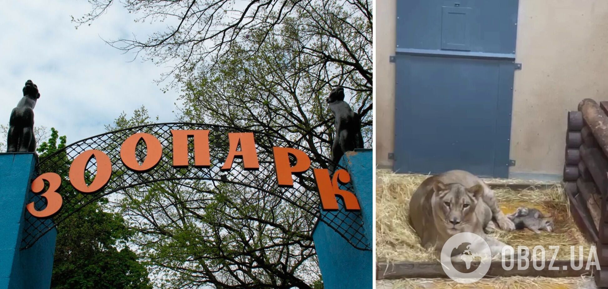 В зоопарке в Харькове – пополнение