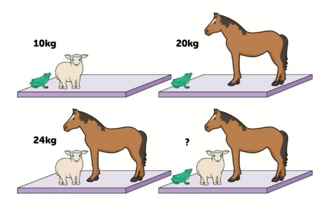 Перевірте свій розум: 'проста' математична головоломка, що заплутає будь-кого