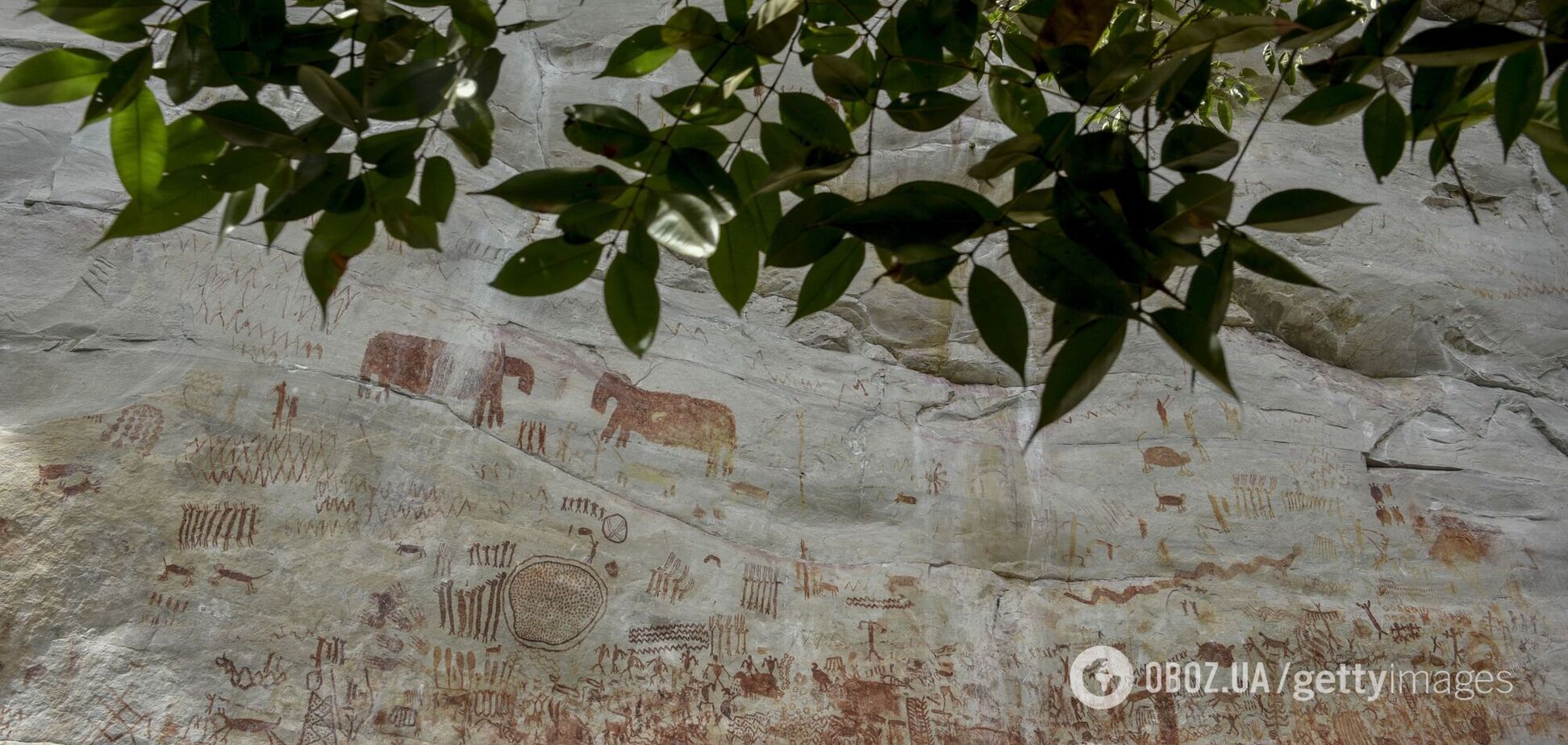 Похожи на инопланетян. На каменных скалах Амазонки обнаружили рисунки удивительных животных и загадочные надписи