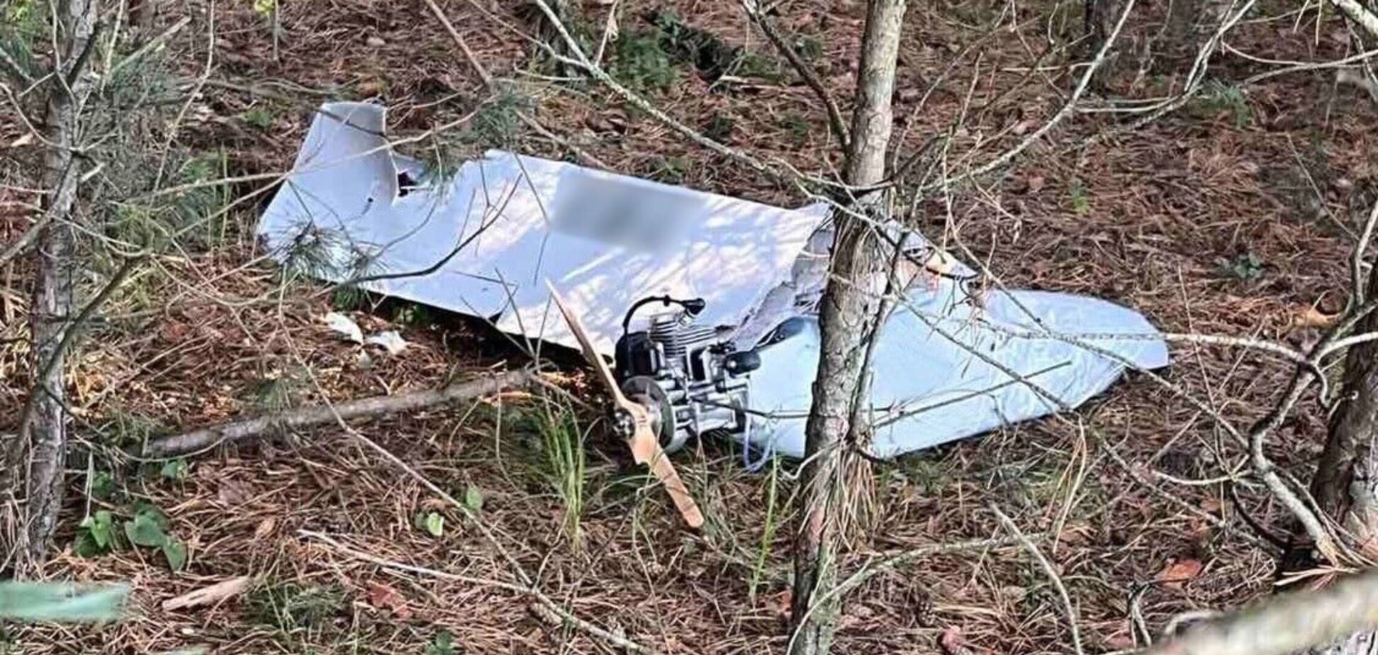 На Чернігівщині знешкодили бойову частину ворожого БПЛА