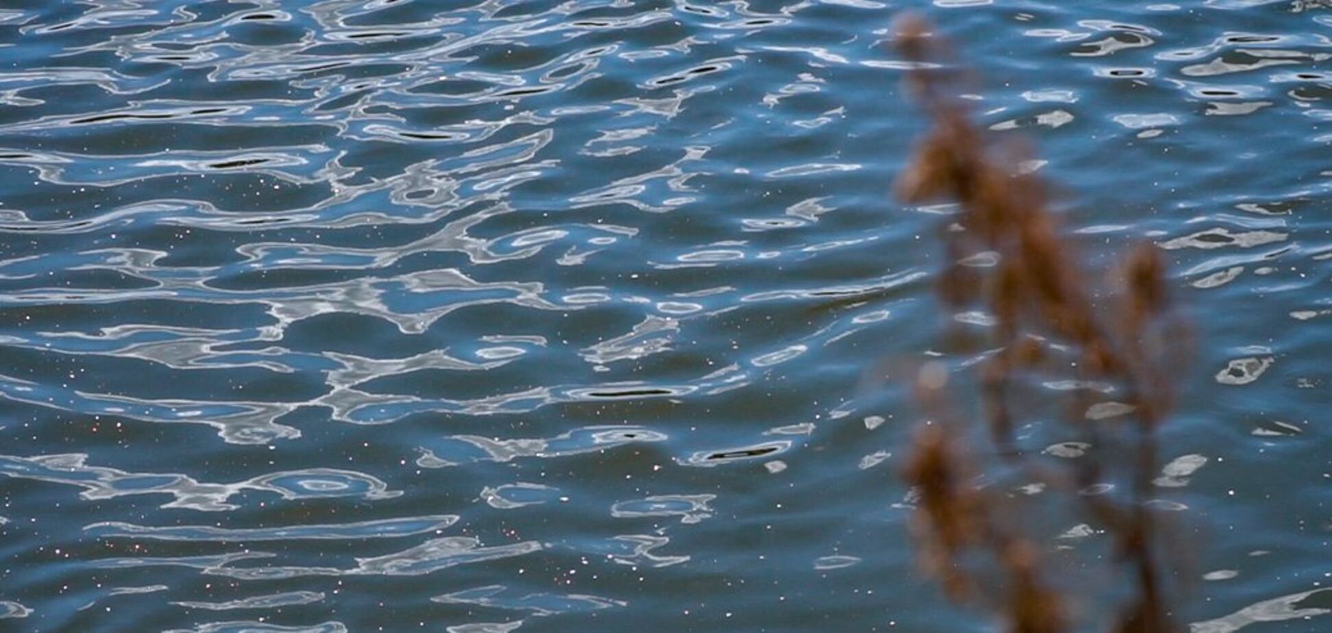 В реке Десна обнаружили поступившее из России органическое загрязнение: осуществляются мероприятия по локализации