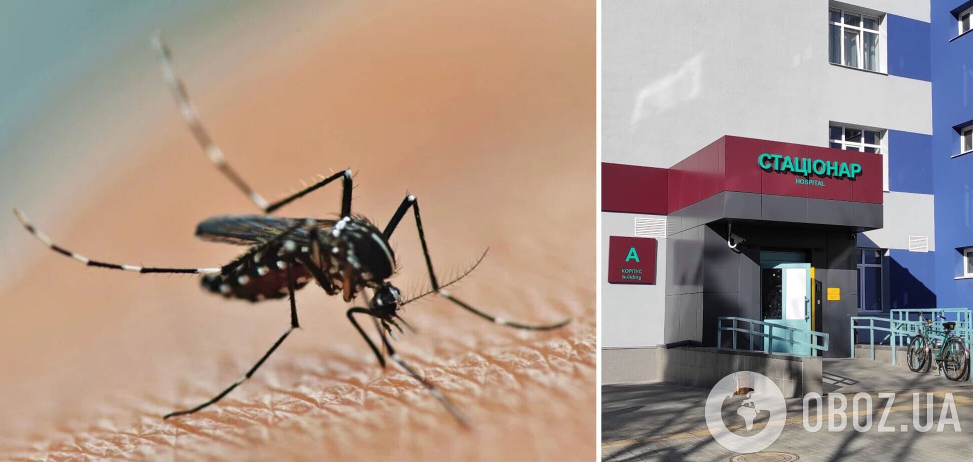 Переносчики заболевания – определенные виды комаров