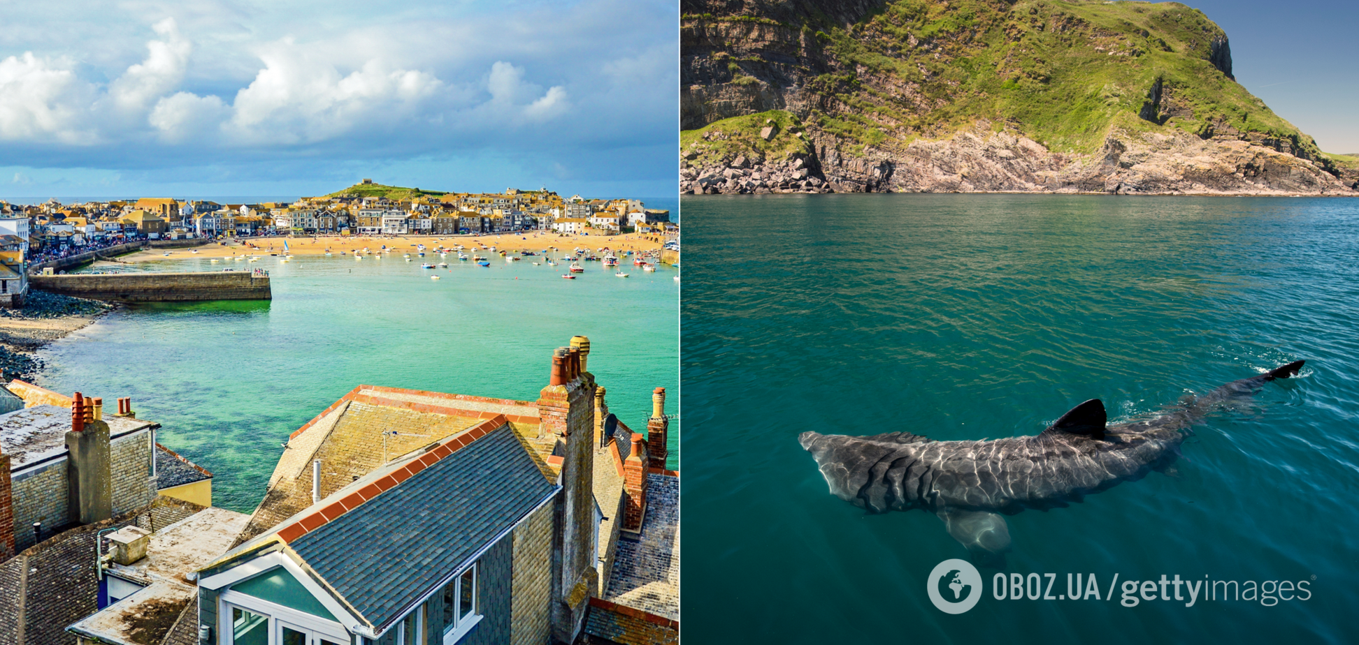 Як у трилері 'Щелепи'. Триметрова акула спричинила паніку на курорті у Великій Британії: діти вибігали з моря з криками