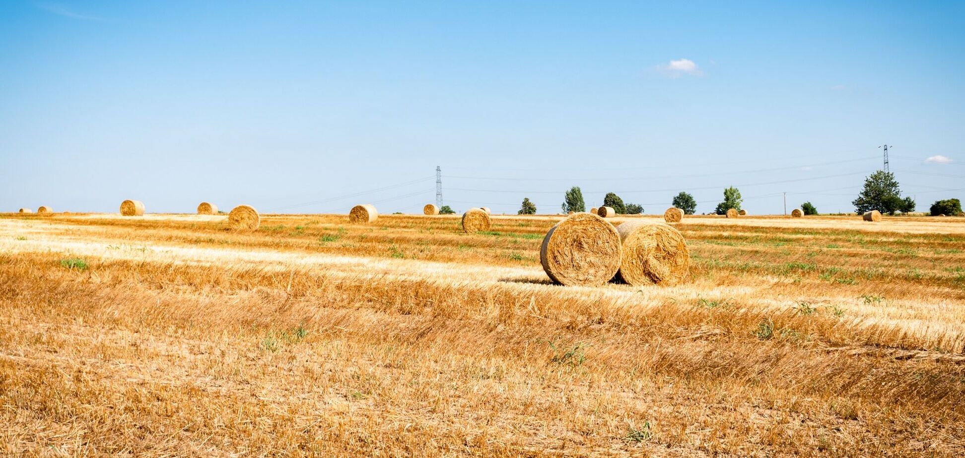 Можем выдохнуть? Диденко дала прогноз, вернется ли в Украину адская жара