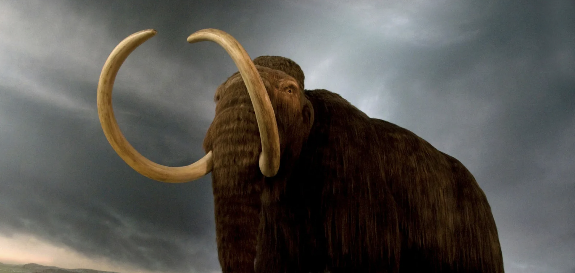 На березі Дніпра у Запоріжжі знайшли рештки мамонта, який жив тисячі років тому. Фото