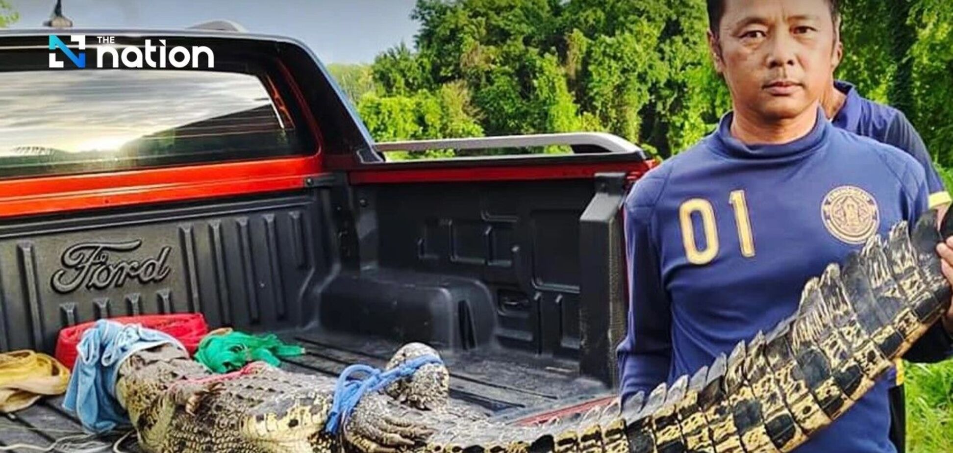 На популярном курорте Таиланда поймали крокодила длиной 2,4 метра. Фото