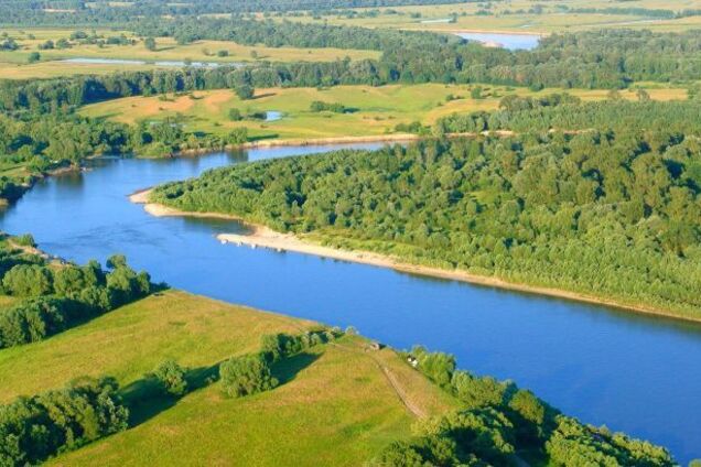 'Погана вода вже біля Чернігова':  в Держекоінспекції назвали ймовірну причину забруднення Сейму і Десни