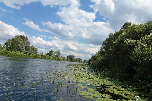 'Рух небезпечних речовин з Сейму сповільнюється': коли отруйна вода з Росії дійде до Чернігова 
