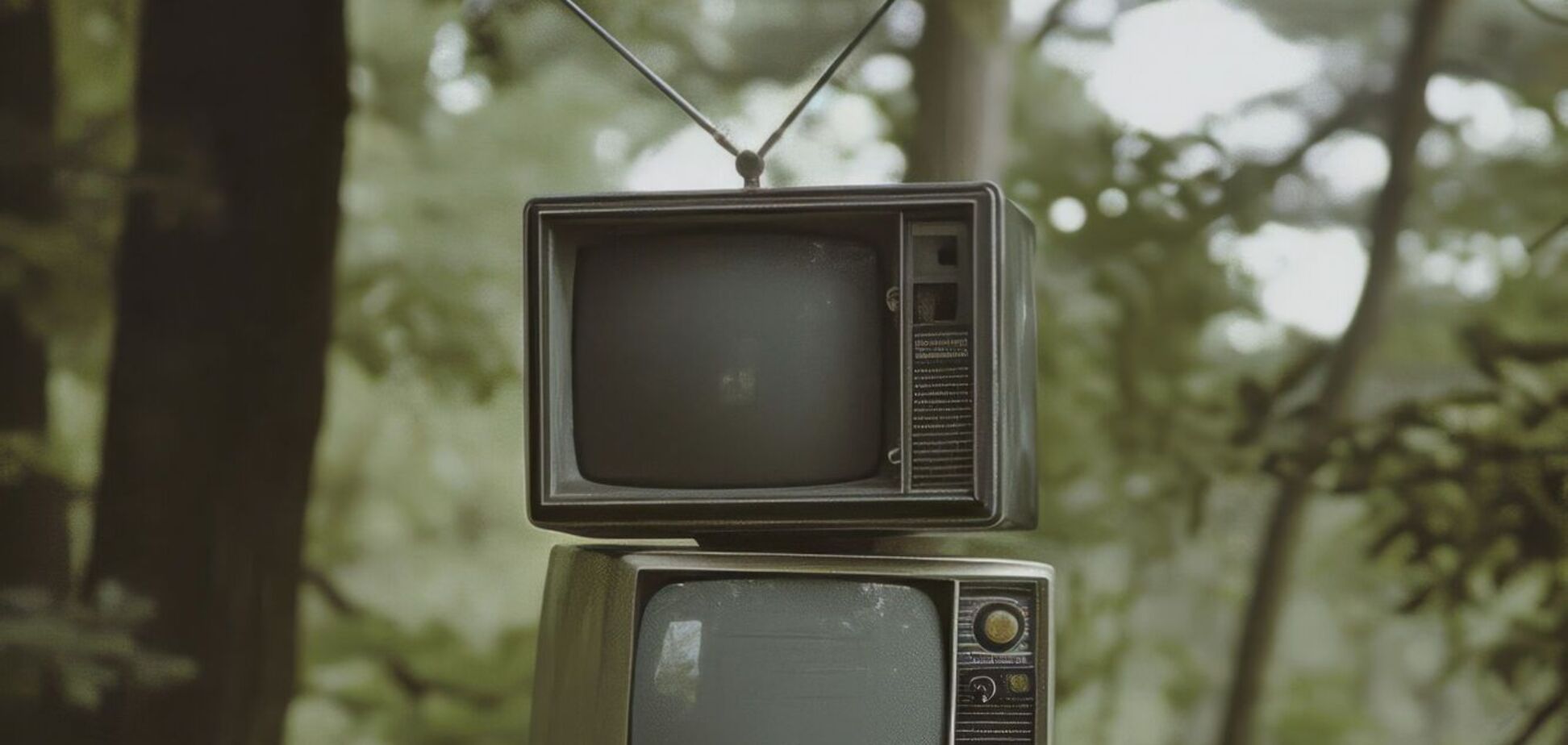 Навіщо на телевізорах у СРСР робили кнопку-обманку із назвою ДМХ: пояснення