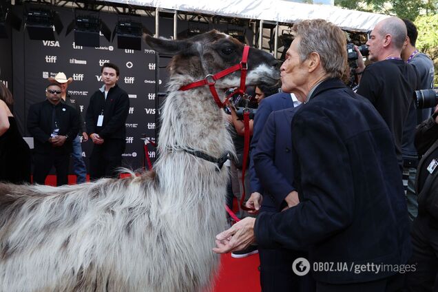 Віллем Дефо поцілував ламу на червоній доріжці та розчулив мережу. Вірусне фото