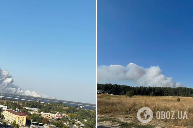 На околиці Києва спалахнула масштабна пожежа: горить лісова підстилка, дим видно у багатьох районах столиці. Фото і відео