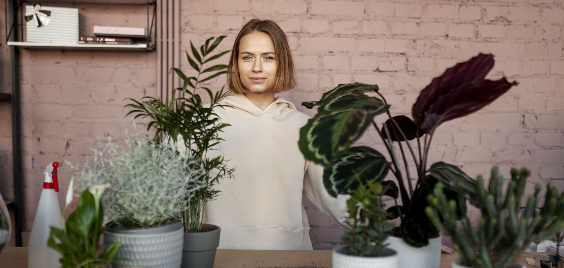 Які кімнатні квіти пересаджують восени: поради для кращого росту