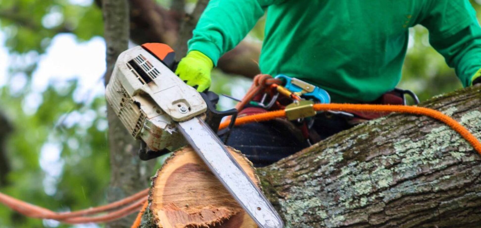 На Полтавщині гілка вбила чоловіка: з'явились деталі трагедії