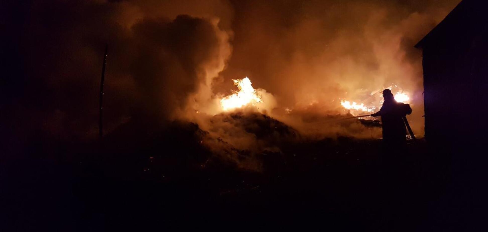 Росіяни масовано атакували Запорізьку область: двоє людей загинуло, ще п'ятеро поранені. Фото