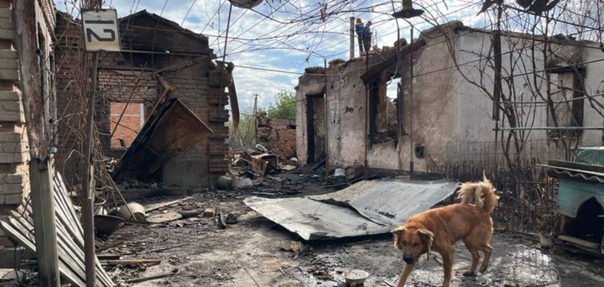 Камышеваха