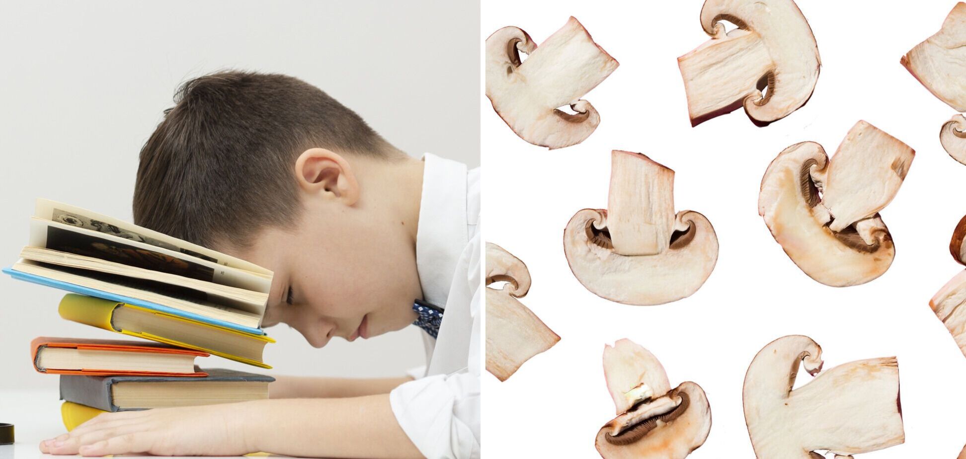 Грибы можно занять из других задач: в сети возникла дискуссия из-за ошибки в учебнике по математике для 3-го класса