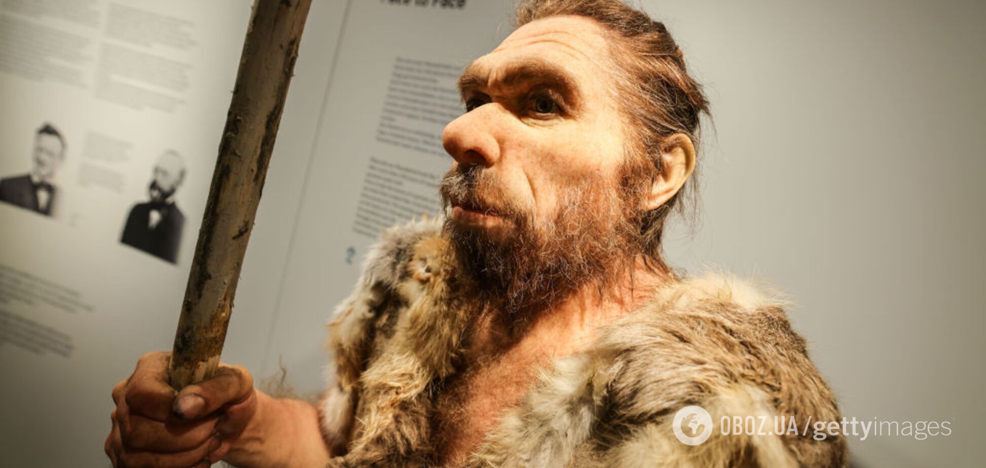 Таємницю 10-ліття розгадано: вчені з'ясували, чому зник загадковий 'Торін' та інші неандертальці