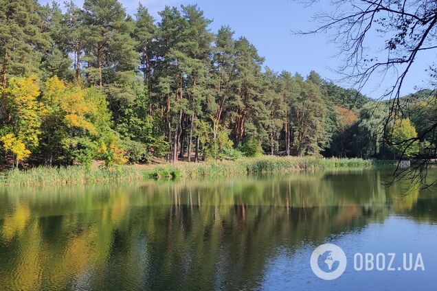 Синоптики не прогнозують опадів у регіоні