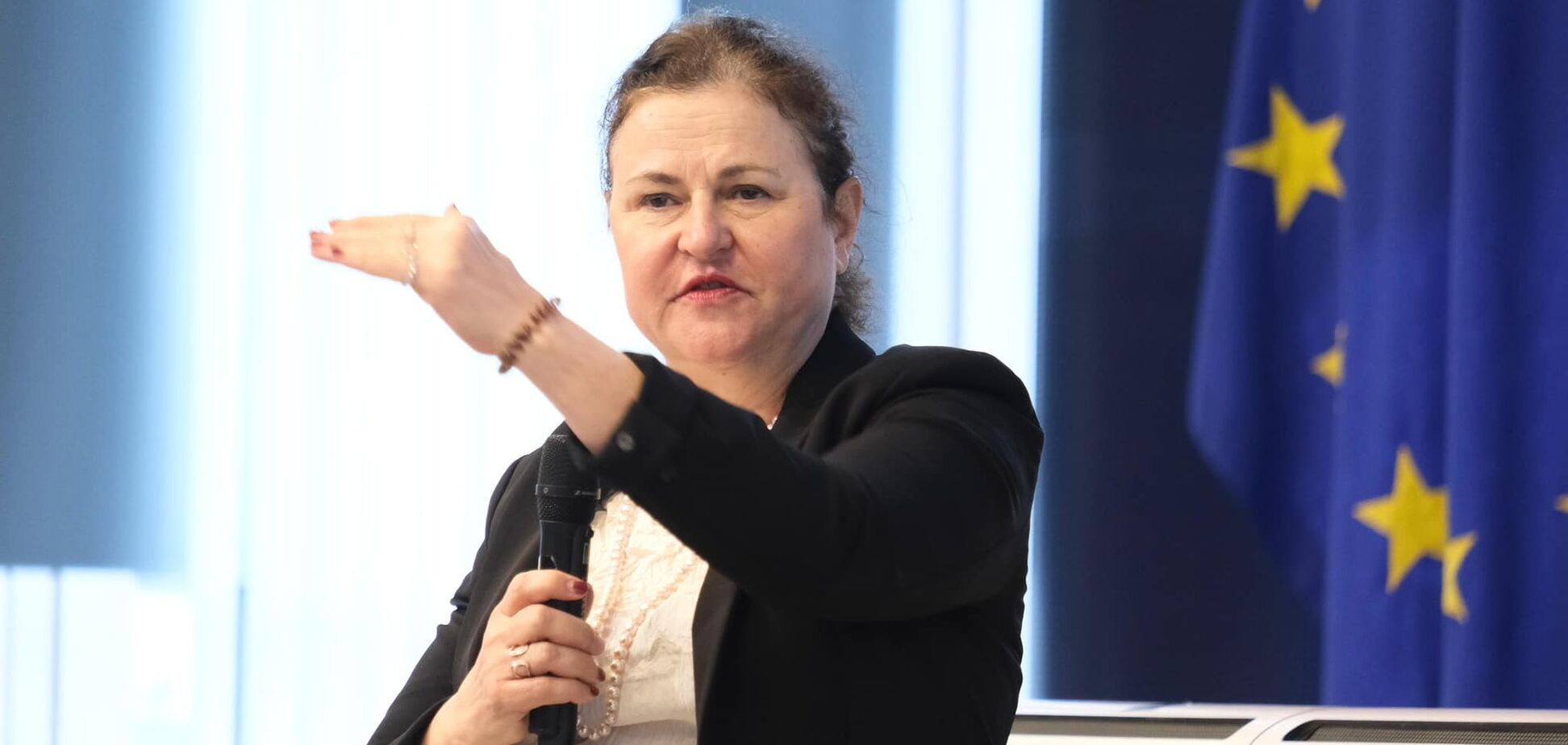 'Необходимо осознать': посол ЕС назвала реалистичные сроки вступления Украины в Евросоюз