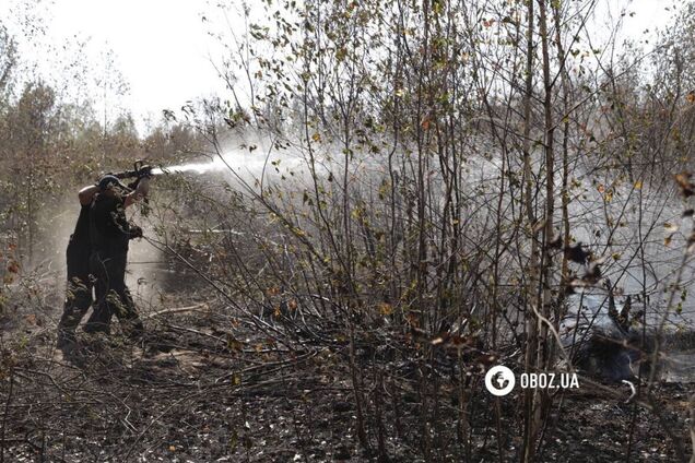 Площа близько 1 га: на Київщині рятувальники загасили пожежу, яка вивела столицю в рейтинг найзабрудненіших міст. Фото і відео