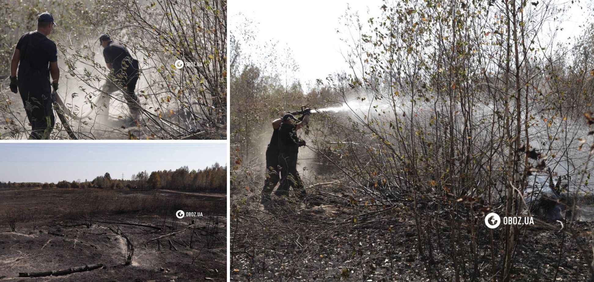 Площа близько 1 га: на Київщині рятувальники загасили пожежу, яка вивела столицю в рейтинг найзабрудненіших міст. Фото і відео