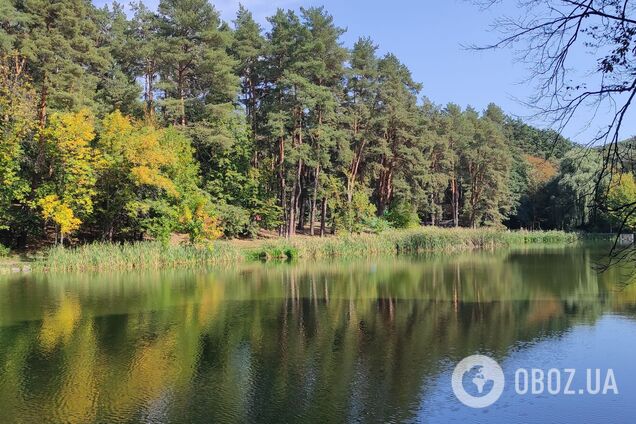 Без опадів та до +26°С: детальни прогноз погоди по Київщині на 22 вересня