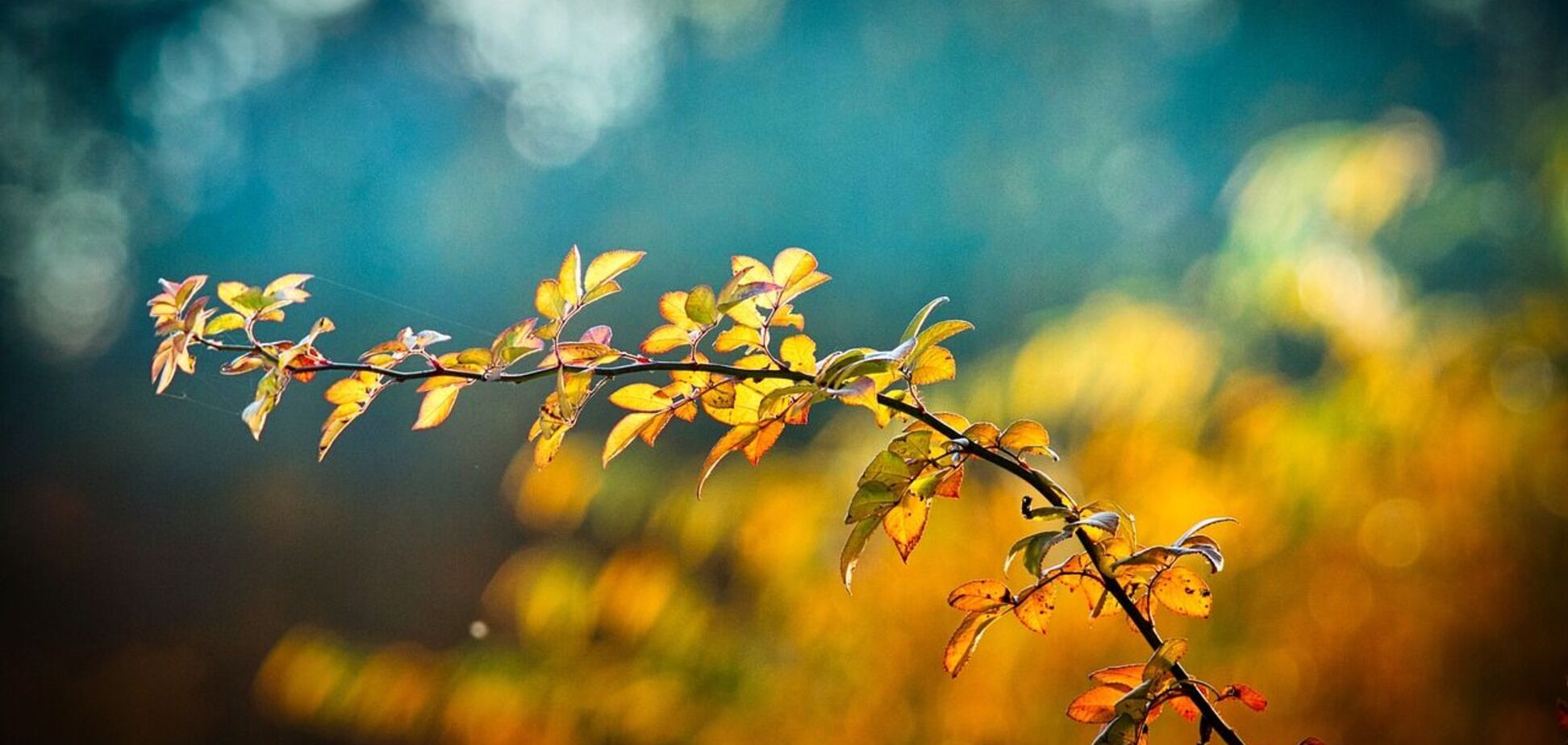 Прогноз погоды от синоптиков