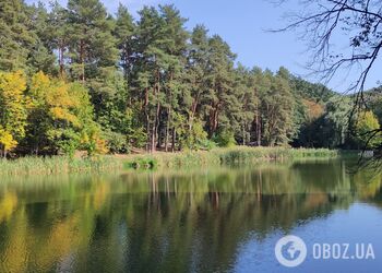 Синоптики не прогнозують опадів у регіоні