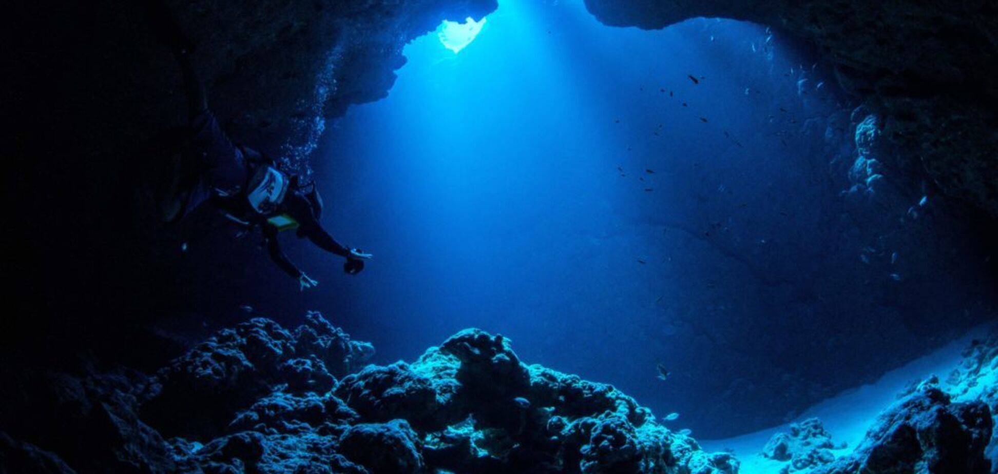 Ученые расшифровали страшные звуки из Марианской впадины. Видео