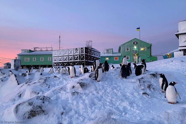 Ветер на станции 'Академик Вернадский' разогнался до скорости поезда и установил рекорд: такого не было с 1947 года! Видео